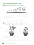 Miniatura página 44 de Ciencias Naturales – Tercero Básico | Texto del Estudiante MINEDUC – Descargar PDF · 2024