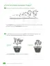 Miniatura página 44 de Ciencias Naturales – Tercero Básico | Texto del Estudiante MINEDUC – Descargar PDF · 2024
