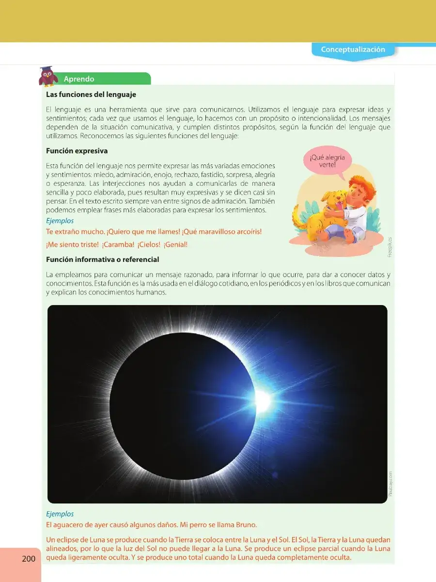 Página 202