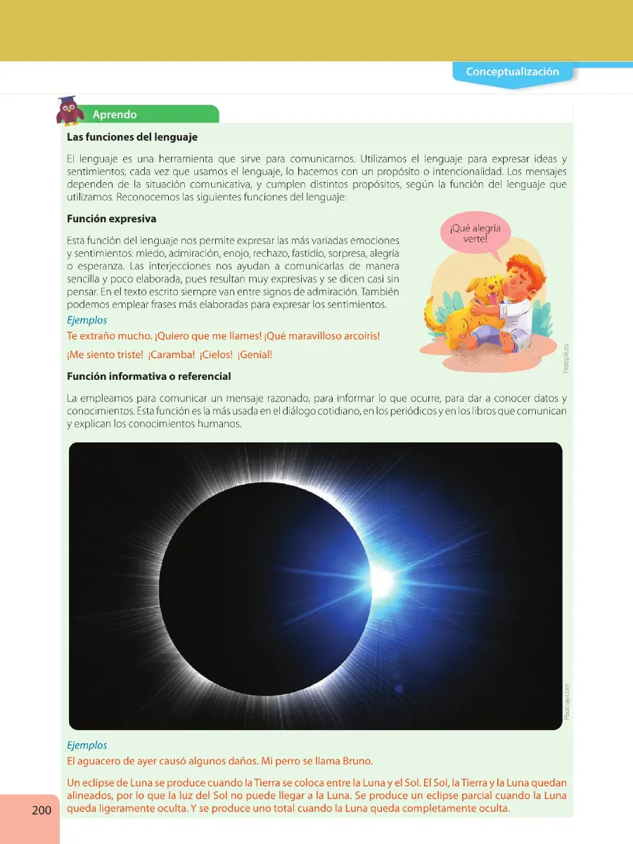 Página 202