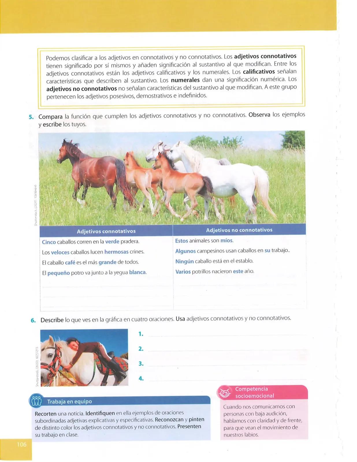Página 106