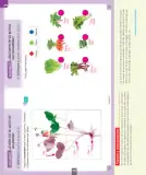 Miniatura página 169 de Ciencias Naturales – Primero Básico | Texto del Estudiante (MINEDUC) – Descargar PDF · 2024