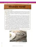 Miniatura página 158 de Ciencias Naturales 6° · Secundaria Activa