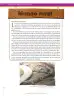 Miniatura página 158 de Ciencias Naturales 6° · Secundaria Activa