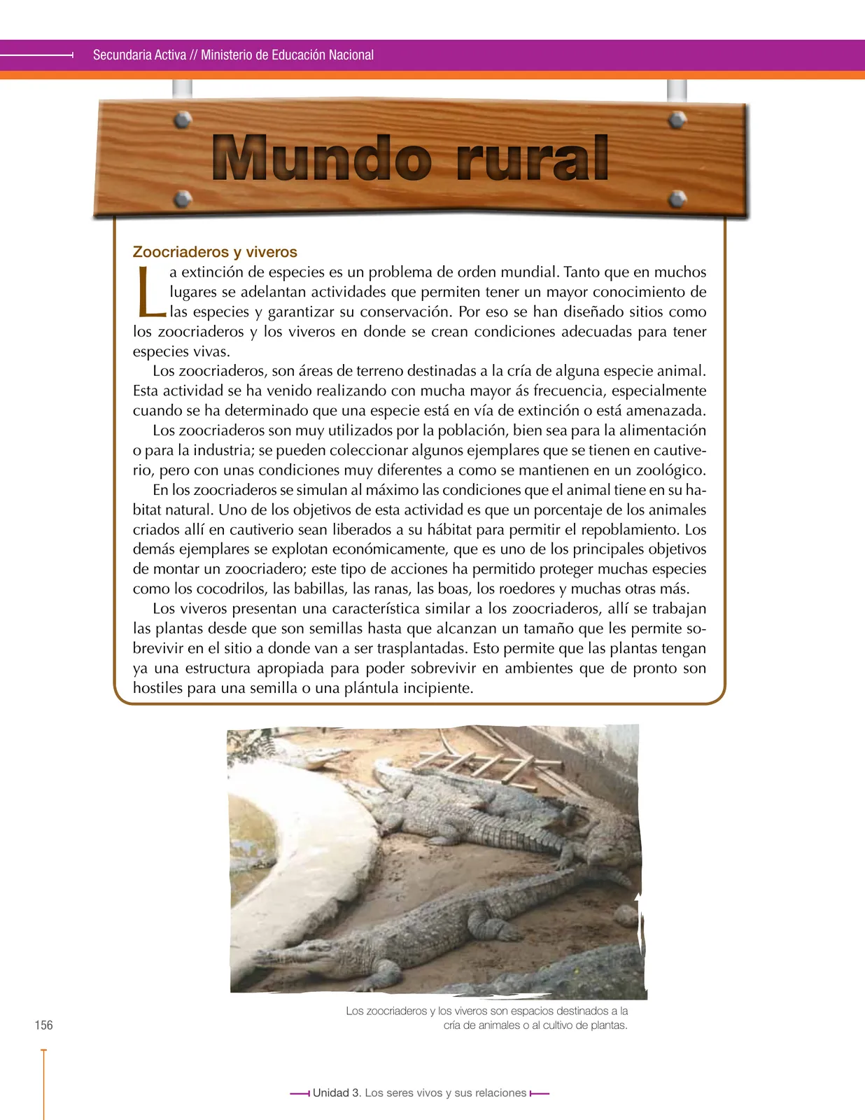 Miniatura página 158 de Ciencias Naturales 6° · Secundaria Activa