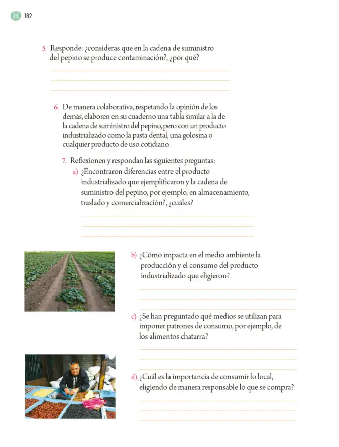 Página 185 de Proyectos Comunitarios. Libro de Educación Primaria Grado 5° Ciclo Escolar 2025 - 2026