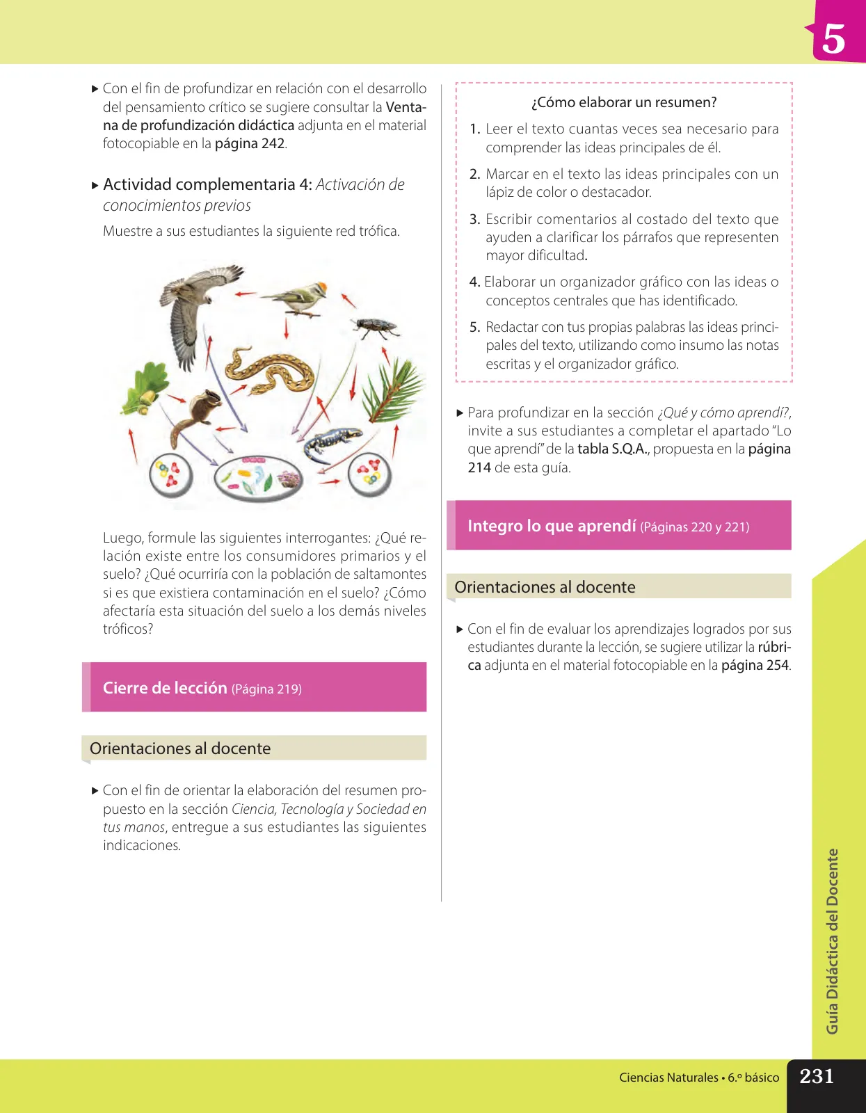 Página 118 de Libro de Ciencias Naturales – Quinto Básico | Texto del Estudiante MINEDUC – Descargar PDF · 2024