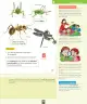 Miniatura página 86 de Ciencias Naturales – Segundo Básico | Texto del Estudiante MINEDUC – Descargar PDF · 2024