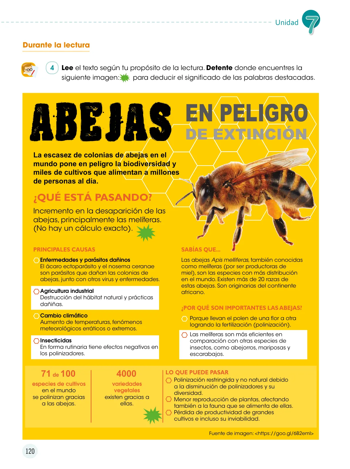 Página 121 de Comunicación 6 : cuaderno de trabajo para sexto grado de Educación Primaria 2019 · 2019