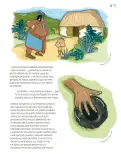 Miniatura página 30 de Múltiples lenguajes.   Libro de Educación Primaria Grado 6°  Ciclo Escolar 2025 - 2026