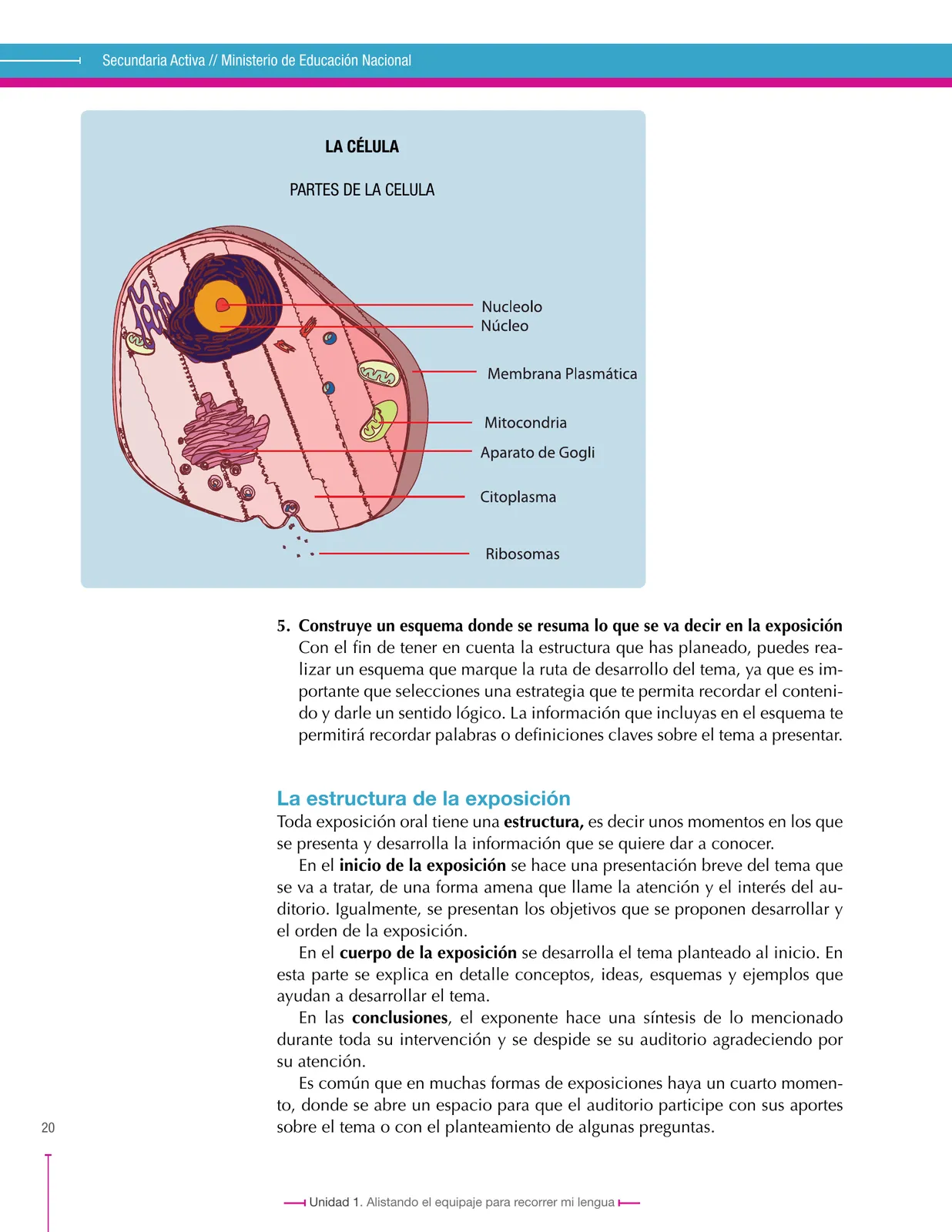 Página 20 de Lenguaje 7° · Secundaria Activa