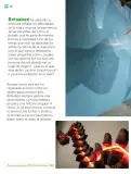 Miniatura página 211 de Múltiples lenguajes.   Libro de Educación Primaria Grado 2°  Ciclo Escolar 2025 - 2026