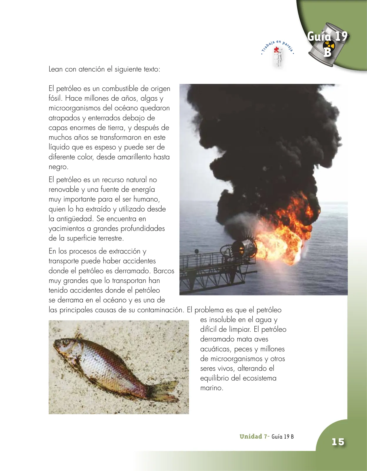Página 15 de Ciencias Naturales 4° · Cartilla 03