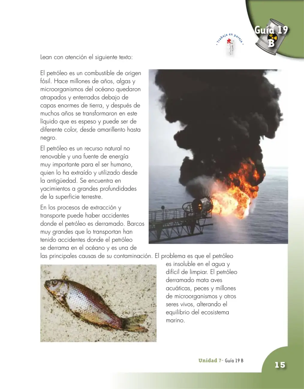 Página 15