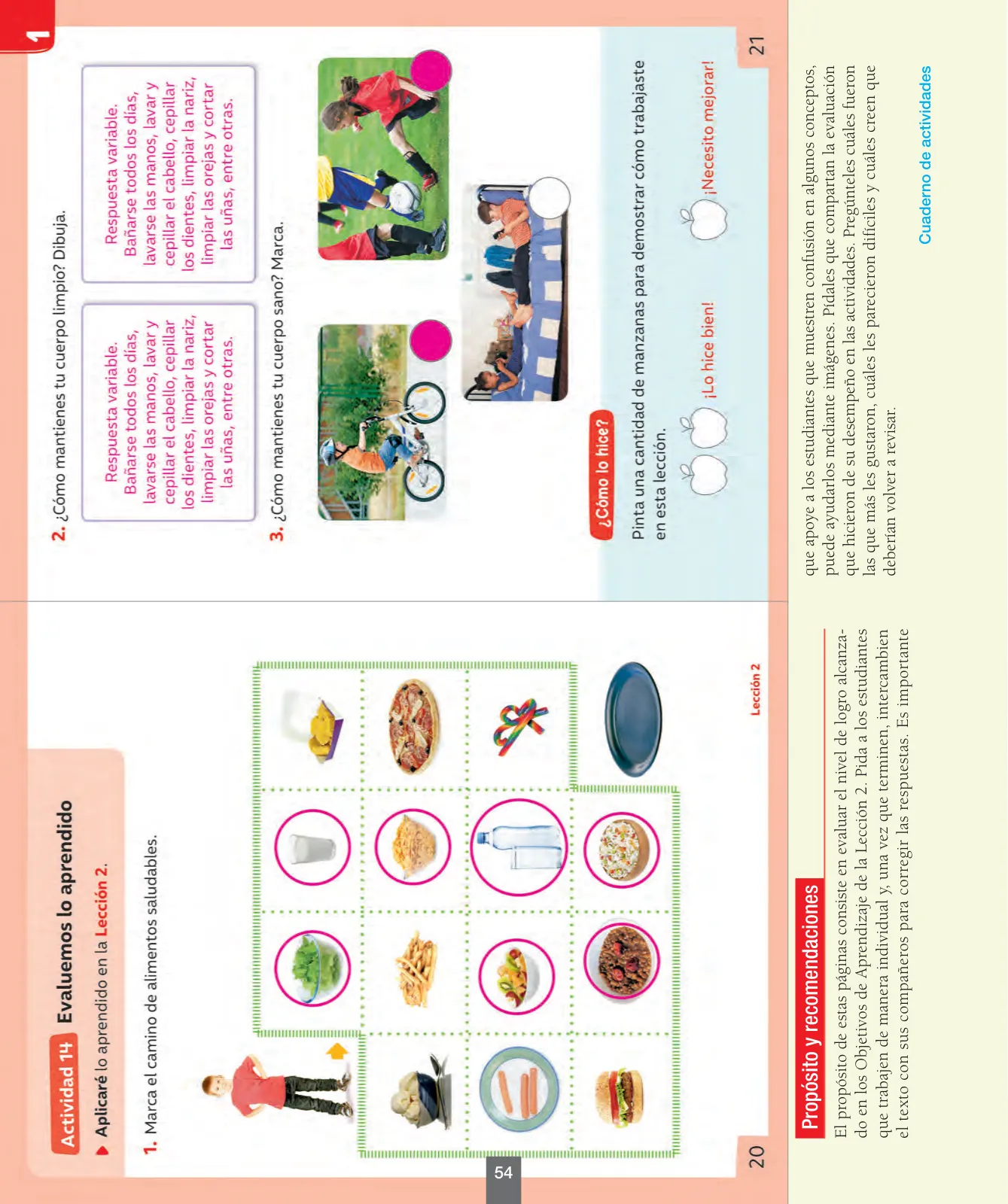 Página 55 de Ciencias Naturales – Primero Básico | Texto del Estudiante (MINEDUC) – Descargar PDF · 2024