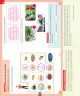 Miniatura página 55 de Ciencias Naturales – Primero Básico | Texto del Estudiante (MINEDUC) – Descargar PDF · 2024