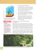 Miniatura página 17 de Ciencias Naturales 7° · 2025