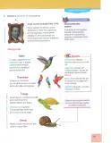Miniatura página 122 de Lengua y Literatura 7° · 2025