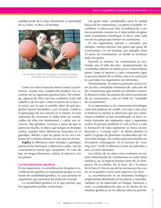 Página 31 de Ciencias Naturales 9° · Secundaria Activa