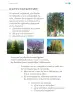 Miniatura página 186 de Proyectos de Aula.   Libro de Educación Primaria Grado 1°  Ciclo Escolar 2025 - 2026