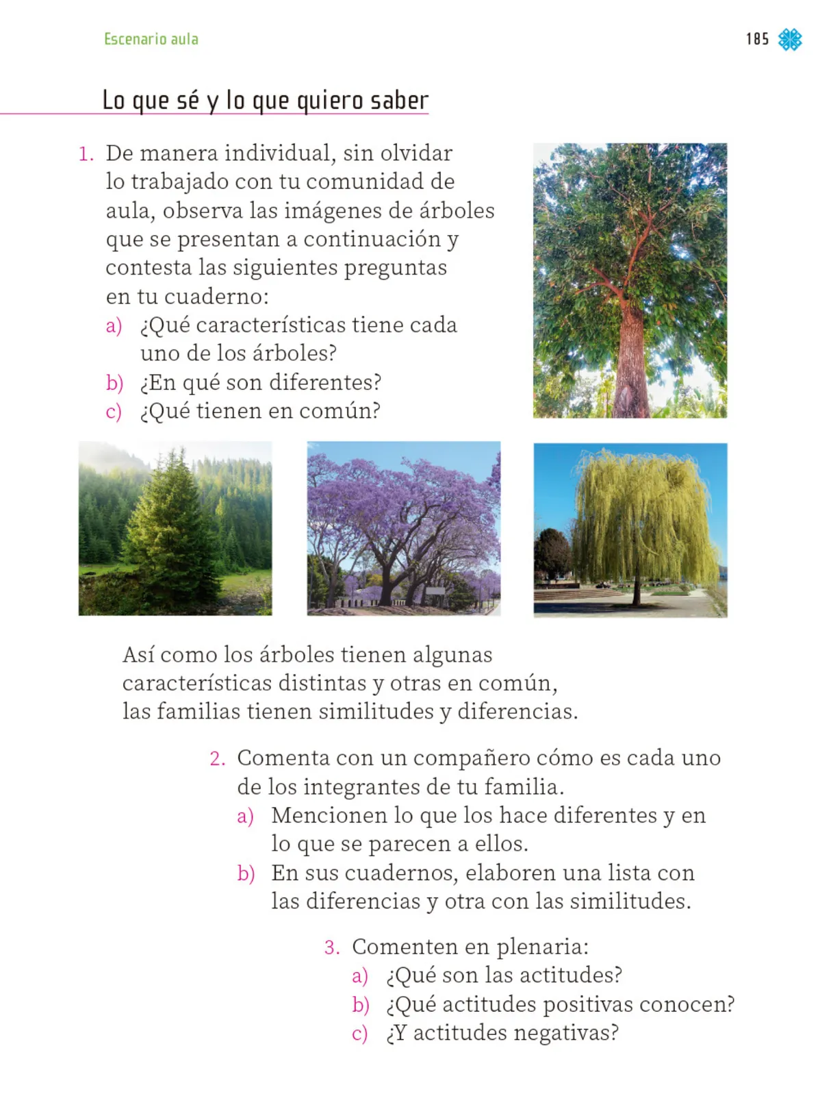 Miniatura página 186 de Proyectos de Aula.   Libro de Educación Primaria Grado 1°  Ciclo Escolar 2025 - 2026