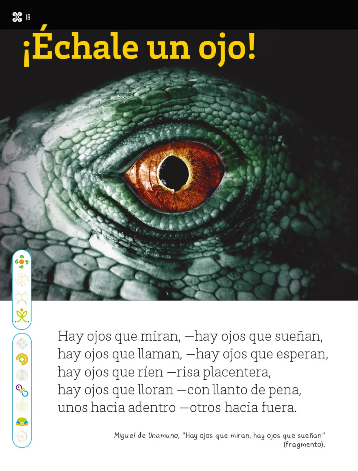 Miniatura página 19 de Múltiples lenguajes.   Libro de Educación Primaria Grado 1°  Ciclo Escolar 2025 - 2026