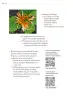 Miniatura página 97 de Proyectos de Aula.   Libro de Educación Primaria Grado 5°  Ciclo Escolar 2025 - 2026