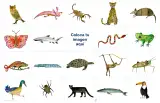 Miniatura página 48 de Jugar e imaginar con mi material manipulable de Preescolar.   Libro de Educación Preescolar Grado 3°  Ciclo Escolar 2025 - 2026
