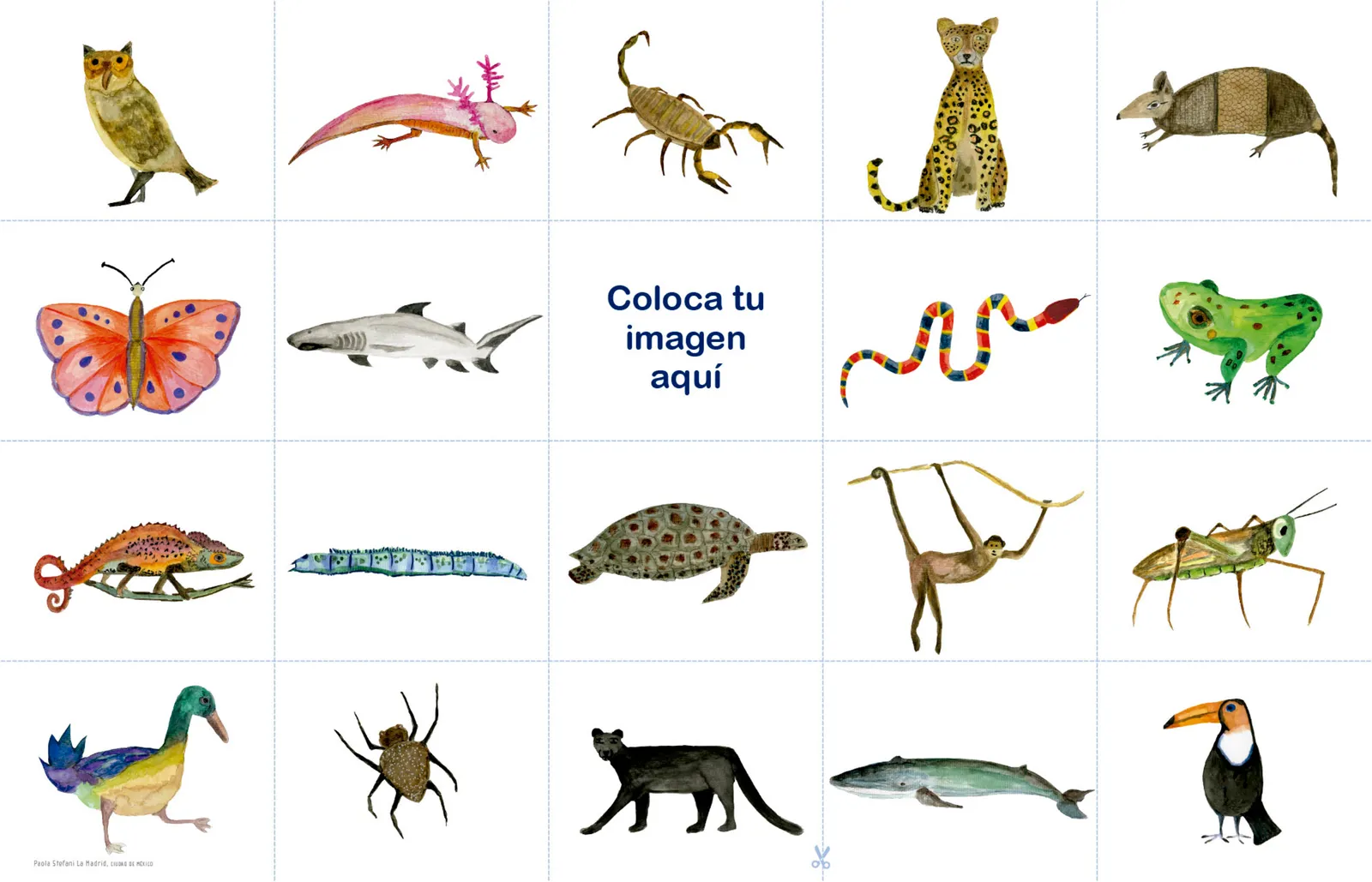 Miniatura página 48 de Jugar e imaginar con mi material manipulable de Preescolar.   Libro de Educación Preescolar Grado 3°  Ciclo Escolar 2025 - 2026
