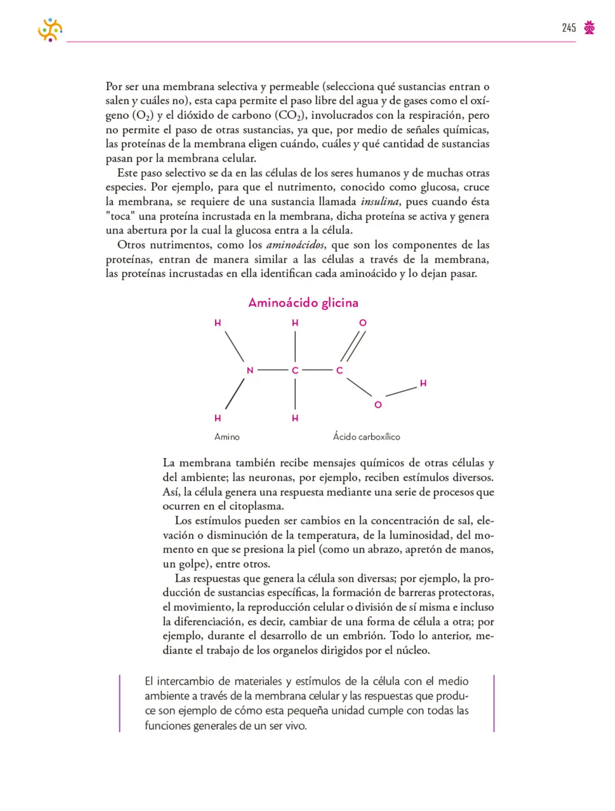 Página 246 de Colección Ximhai. Saberes y pensamiento científico. Libro de Educación Secundaria Grado 1° Ciclo Escolar 2025 - 2026