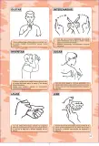 Miniatura página 167 de Lengua de señas peruana : guía para el aprendizaje de la lengua de señas peruana, vocabulario básico · 2015