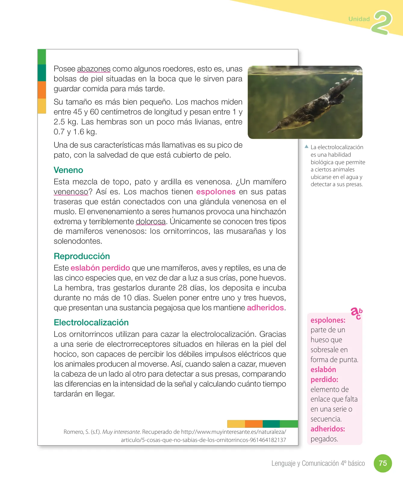 Miniatura página 77 de Lenguaje y Comunicación – Cuarto Básico | Texto del Estudiante MINEDUC – Descargar PDF · 2024