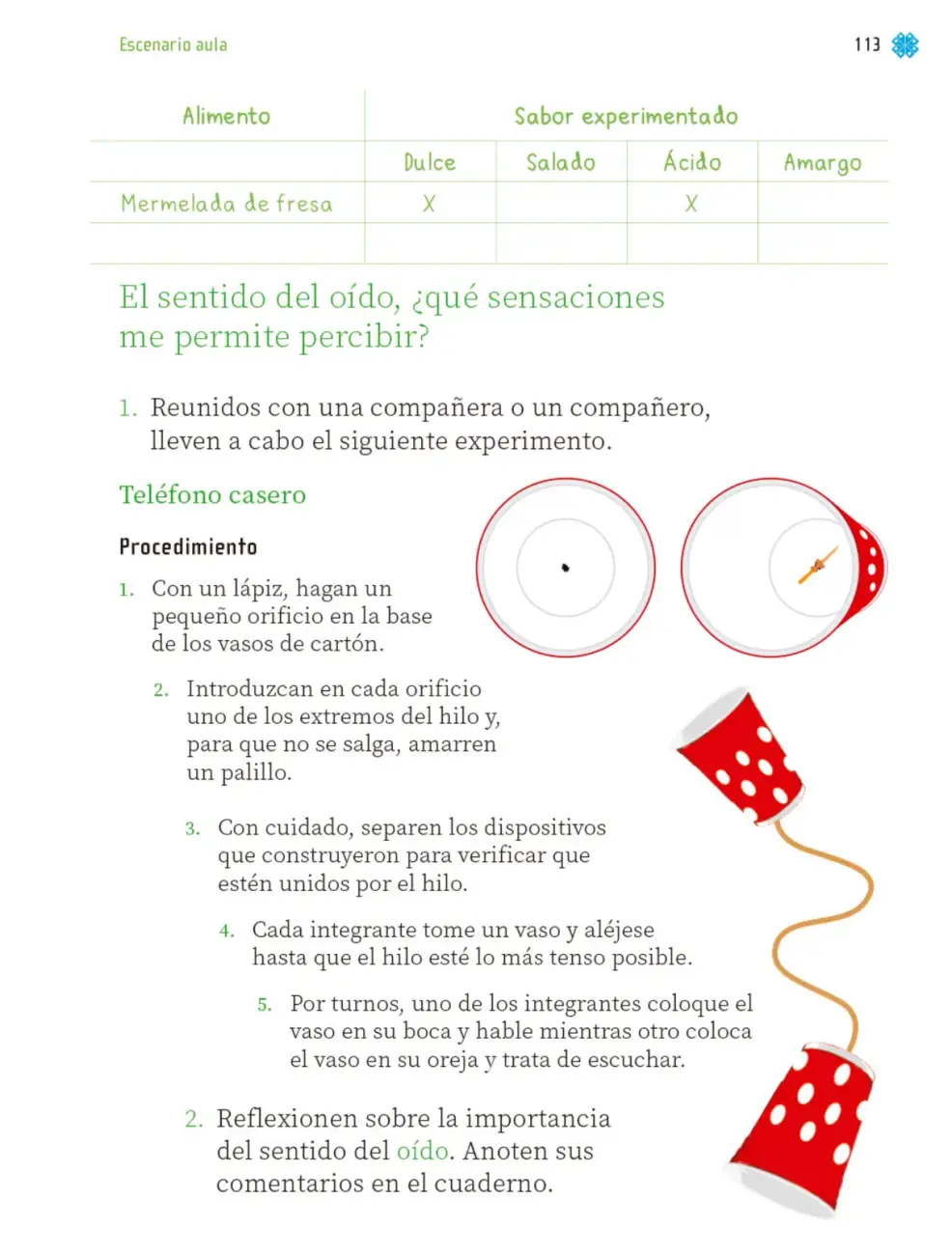 Página 116