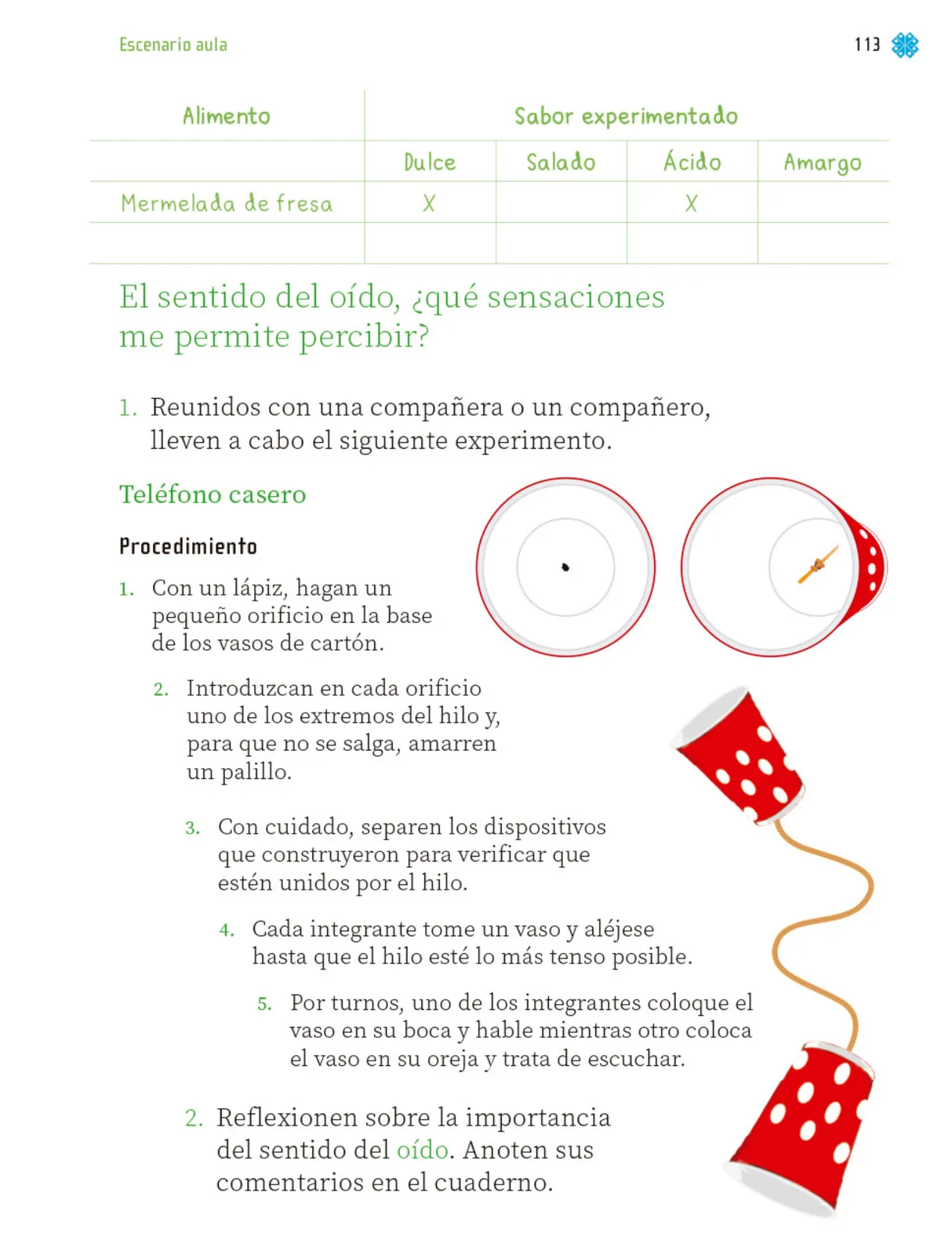 Página 116