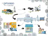 Miniatura página 25 de Explorar e imaginar con mi libro de Preescolar.   Libro de Educación Preescolar Grado 3°  Ciclo Escolar 2025 - 2026