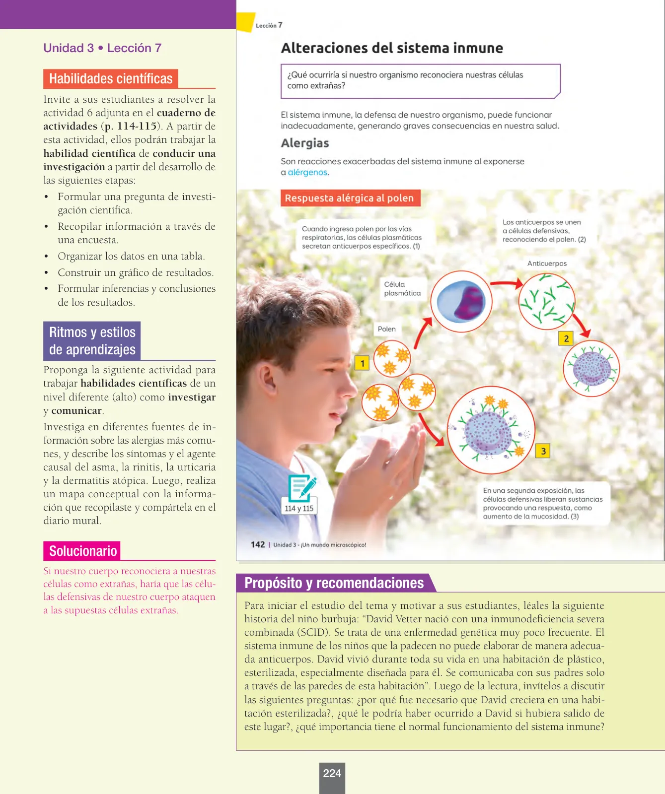 Miniatura página 49 de Ciencias Naturales – Séptimo Básico | Texto del Estudiante MINEDUC – Descargar PDF · 2024