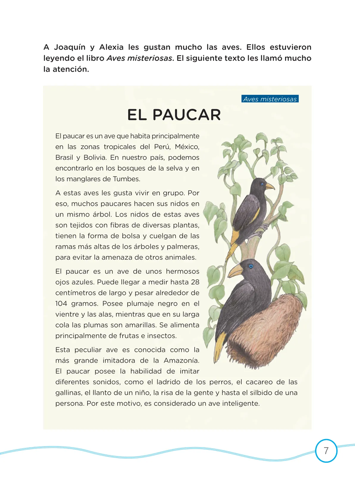 Pág 7