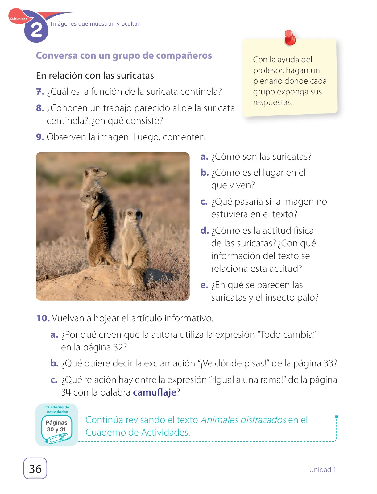 Página 38