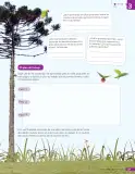 Miniatura página 280 de Libro de Ciencias Naturales – Quinto Básico | Texto del Estudiante MINEDUC – Descargar PDF · 2024