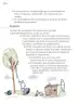 Miniatura página 53 de Proyectos Comunitarios.   Libro de Educación Primaria Grado 1°  Ciclo Escolar 2025 - 2026