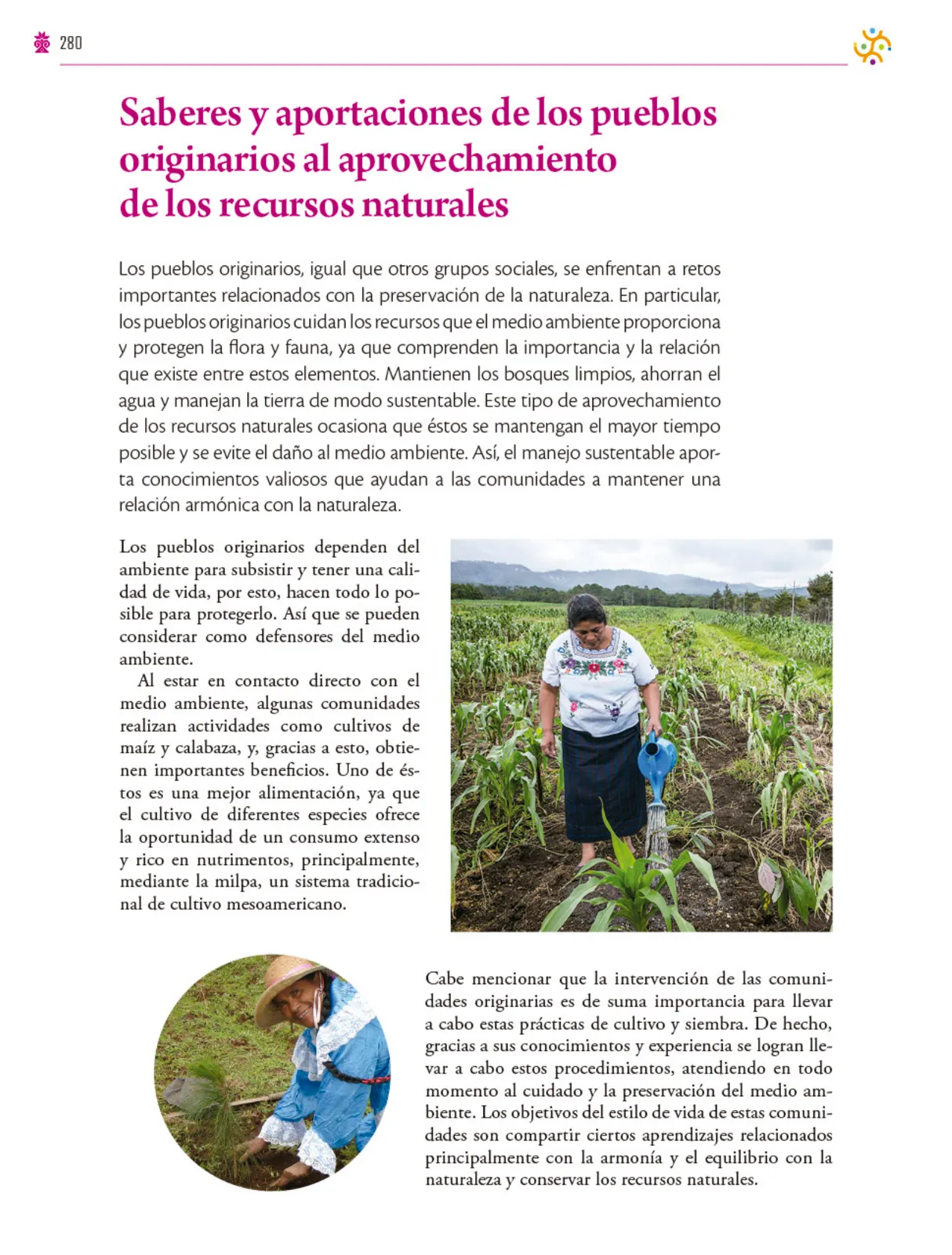 Miniatura página 281 de Colección Ximhai. Saberes y pensamiento científico.   Libro de Educación Secundaria Grado 1°  Ciclo Escolar 2025 - 2026