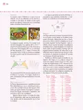 Miniatura página 113 de Nuestros saberes: Libro para alumnos, maestros y familia.   Libro de Educación Primaria Grado 3°  Ciclo Escolar 2025 - 2026