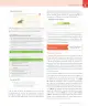 Miniatura página 143 de Lenguaje y Comunicación – Cuarto Básico | Texto del Estudiante MINEDUC – Descargar PDF · 2024