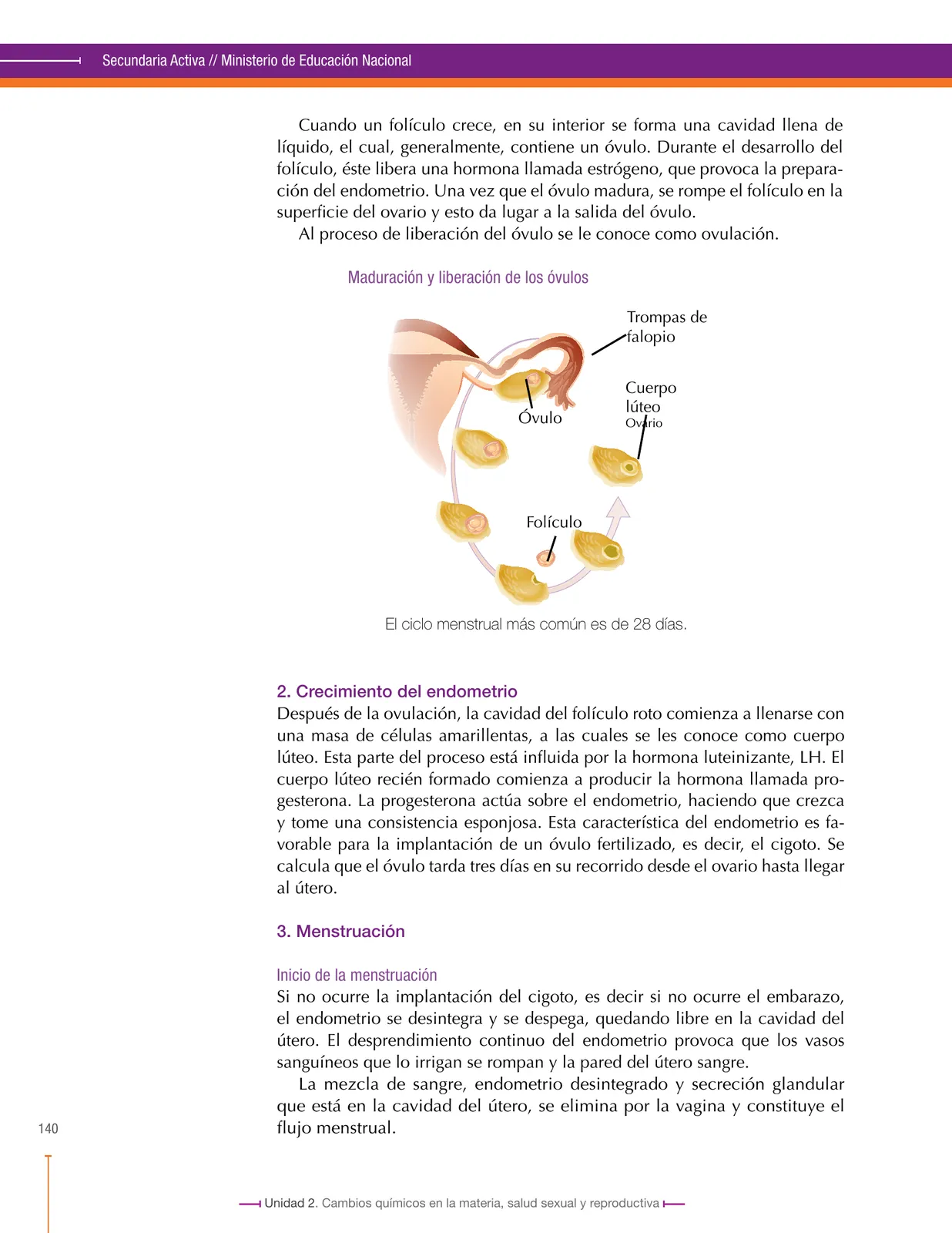 Página 140 de Ciencias Naturales 8° · Secundaria Activa