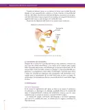 Miniatura página 140 de Ciencias Naturales 8° · Secundaria Activa