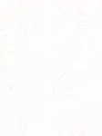 Pág 92