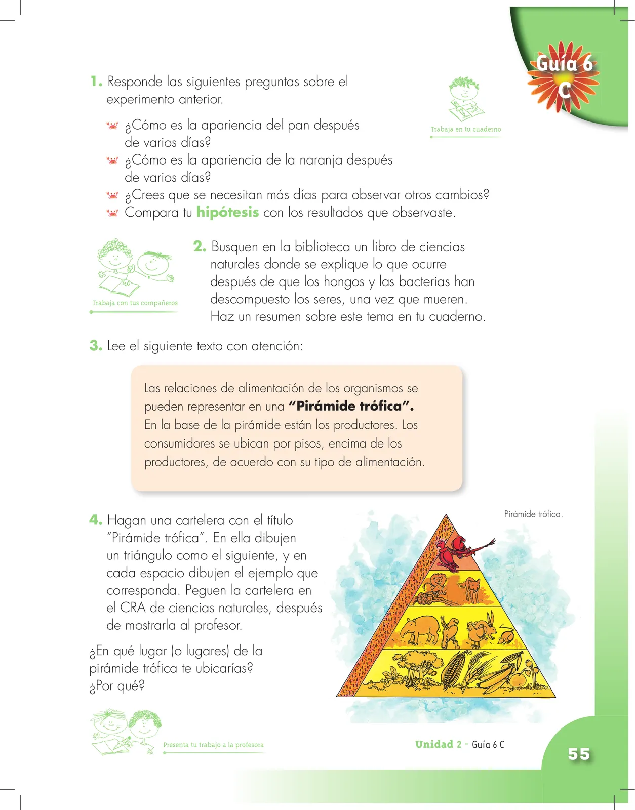 Página 55 de Ciencias Naturales 3° · Cartilla 01