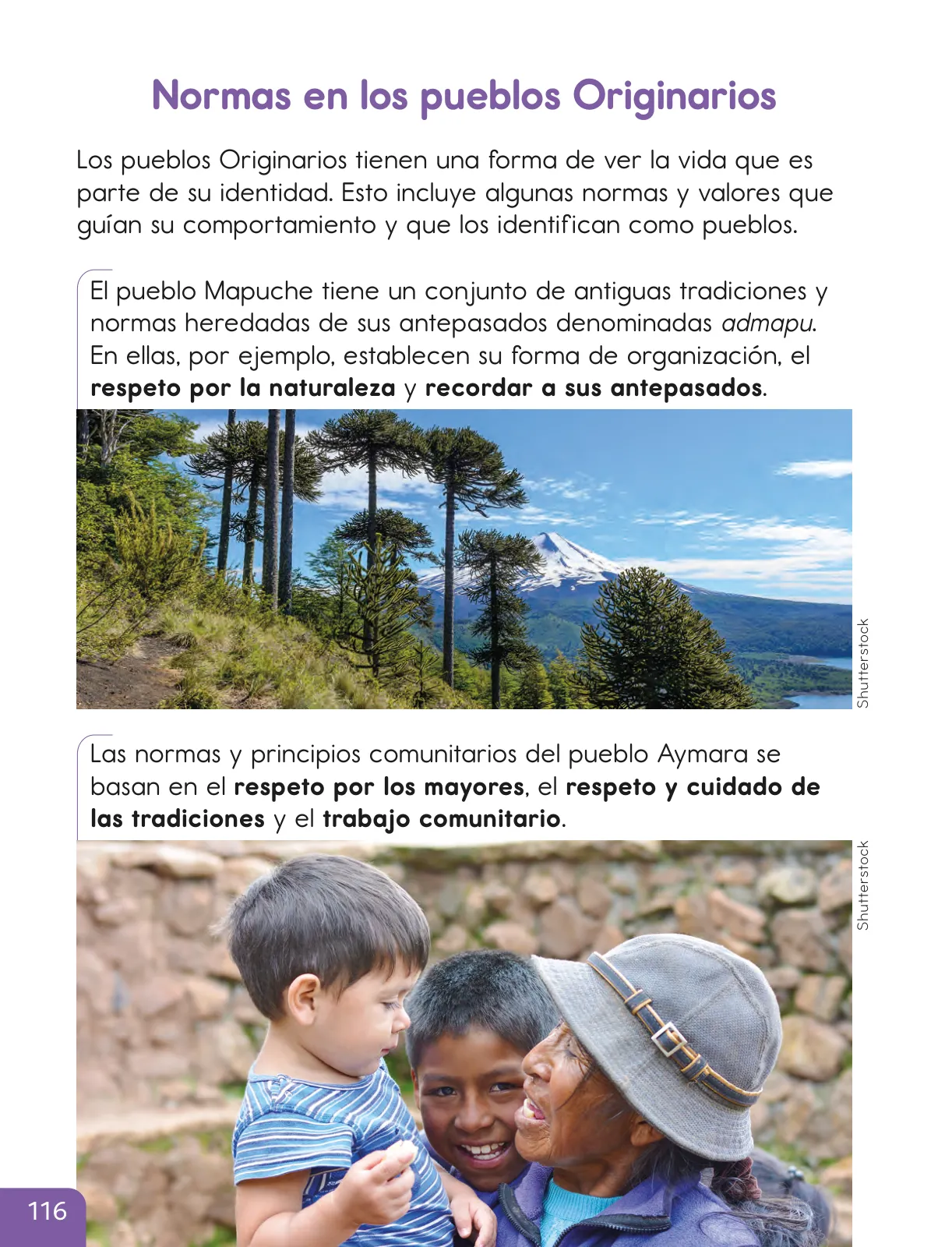 Página 118 de Historia, Geografía y Ciencias Sociales – Segundo Básico – Texto del Estudiante MINEDUC – Descargar PDF · 2024