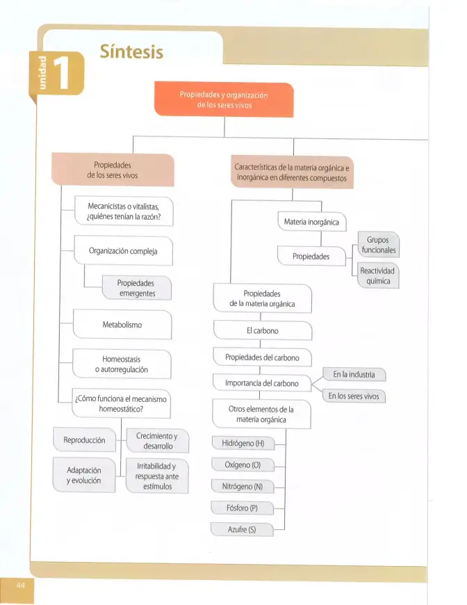 Página 43 de Ciencias Naturales 8° · Egb 8 Ciencias Naturales 2025 · 2025