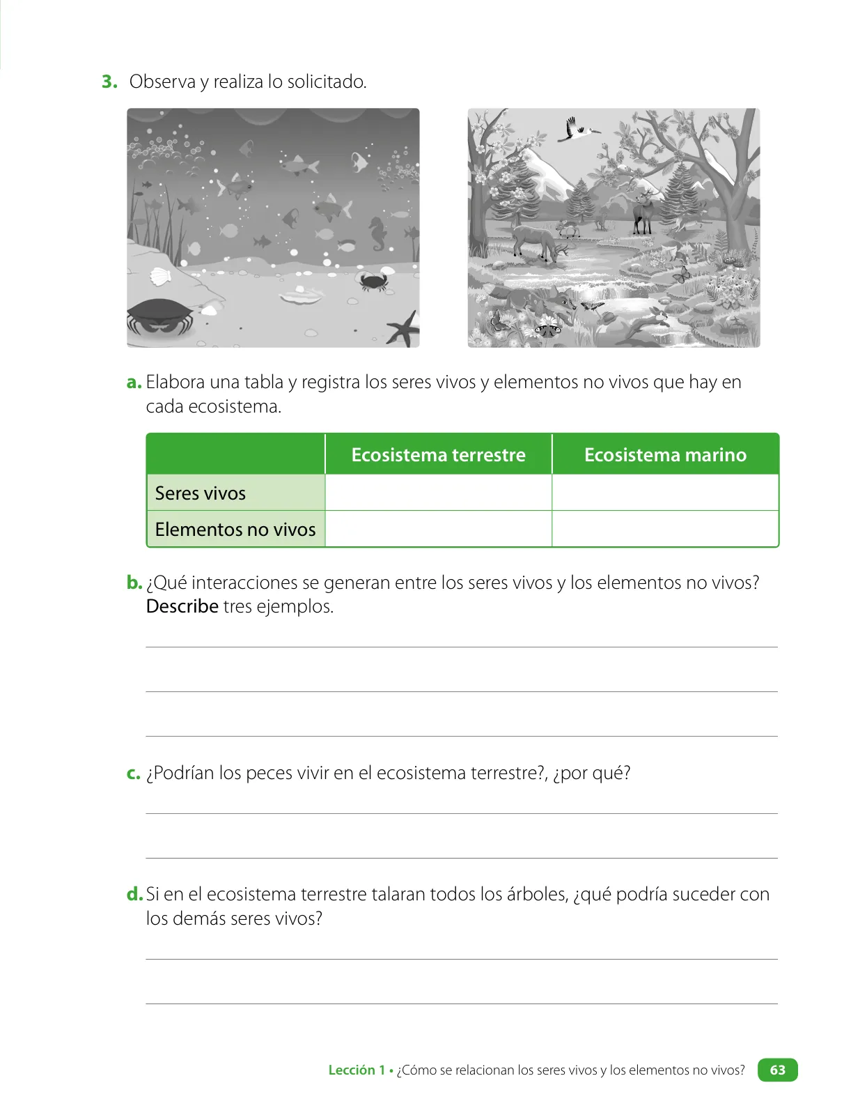 Página 65 de Ciencias Naturales – Cuarto Básico | Texto del Estudiante MINEDUC – Descargar PDF · 2024